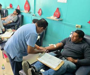 El banco de sangre del hospital Escuela atiende diariamente a unos 100 donantes.