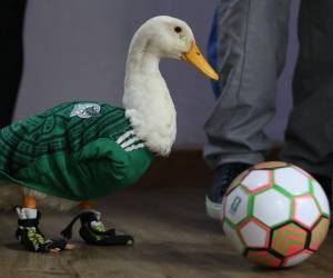 Su propietaria reclamó este derecho ante el “abuso” de empresas que “lucraron” con la imagen de la mascota no oficial de la Copa del Mundo.
