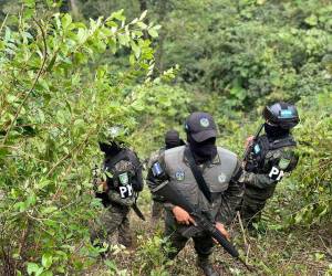 La ubicación de la plantación de hoja de coca se produjo en uan zona de montaña entre Olanchito y La Masica.