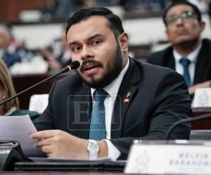 Alex Berríos, diputado del Partido Liberal, fue el impulsador de la propuesta.