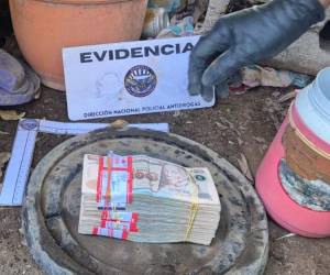 El total del dinero incautado -en billetes de diferentes países- asciende a más de medio millón de lempiras.