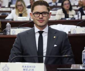 El diputado, Rashid Mejía, está impulsado esta ley en el Congreso Nacional.