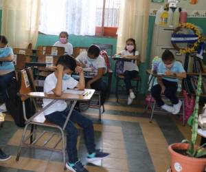 La Secretaría de Educación presupuestó 700 millones de lempiras para el pago de la Matrícula Gratis a más de 1.2 millones de alumnos.