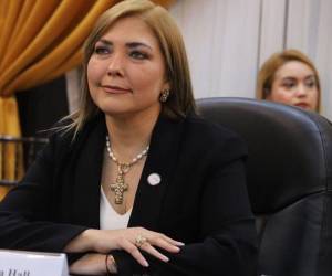 Ana Paola Hall, consejera presidenta del CNE.