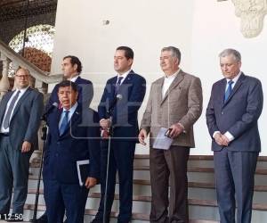 Funcionarios de gobierno exponen beneficios de la Ley de Justicia Energética que fue sancionada por el presidente Nasry Asfura.