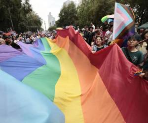 Las personas LGTBI enfrentan enormes barreras para disfrutar de una vida plenamente libre, y que durante años las leyes y políticas públicas no han respondido a sus necesidades ni han garantizado su protección.