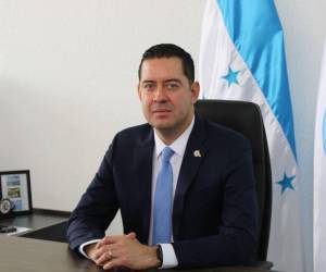 El ministro de Finanzas, Emilio Hernández Hércules, anunció que los miembros de la Misión del Fondo Monetario Internacional (FMI) se reunirán el próximo lunes con el presidente Nasry Asfura Zablah.