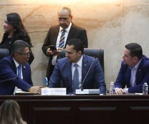 Las autoridades del Congreso Nacionalinformaron que aún no se ha presentado de manera formal algún proyecto de ley.