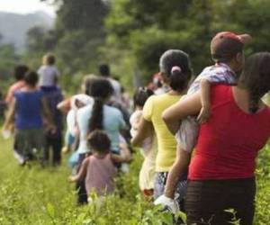 En el 2025, el ente estatal documentó 350 quejas de desplazamiento forzado de mujeres, a nivel nacional, en las que resultaron afectadas 718 mujeres.