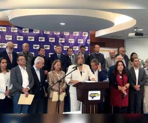 La presidenta del Cohep, Anabel Gallardo, leyó el manifiesto con los representantes de la organización.
