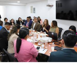 La reunión contó con la presencia de diputados, miembros del Ministerio Público y representantes de organizaciones de protección a la niñez.