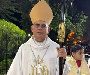 La Embajada de Honduras en Madrid y la Sección Consular mantienen contacto directo con las autoridades españolas para agilizar los trámites correspondientes.