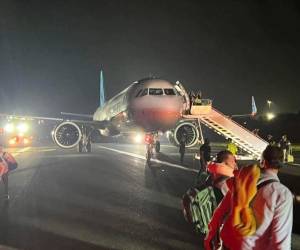 El choque provocó un breve incendio del motor del avión, según diversos reportes.