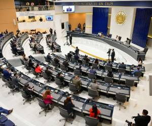 La Asamblea Legislativa de El Salvador aprobó esta semana la Ley Quincena 25, una iniciativa presentada por el presidente Nayib Bukele que crea un ingreso complementario equivalente al 50% del salario mensual para trabajadores del sector público y privado tengan una paga hasta 1,500 dólares.