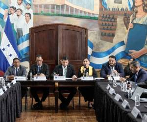 Una mesa conformada por el Poder Legislativo y distintas instituciones analiza conflictos por tierras y agua en zonas vulnerables para crear una ley que concilie producción agrícola y ambiente.