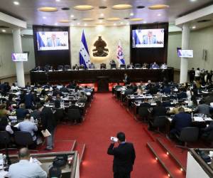 La pieza legislativa estipula de forma vinculante la creación inmediata de una unidad especializada adscrita a la Secretaría de Educación.