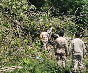 Vivienda destruida en los bordos del río Blanco, donde un árbol cayó y provocó la muerte de un joven que dormía en su interior.