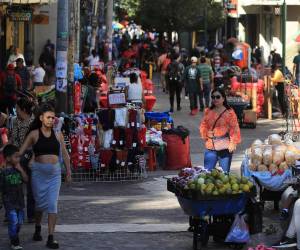 El entusiasmo con el que más de tres millones de hondureños acudieron a las urnas el pasado 30 de noviembre contrasta, dos semanas después, con un creciente descontento por la ausencia de resultados oficiales, en un lento y ajustado escrutinio bajo acusaciones de irregularidades y fallas en el sistema.