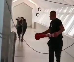 Su irrupción provocó el pánico entre los empleados y los clientes.