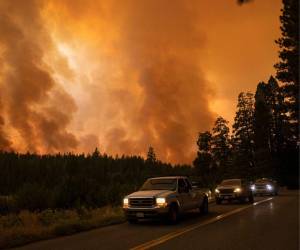 l bosque es incinerado por el incendio de Oak cerca de Midpines, al noreste de Mariposa, California, el 23 de julio de 2022.