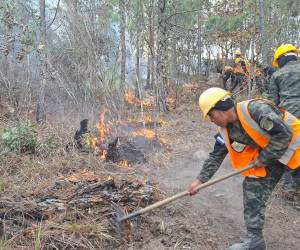 Las Fuerzas Armadas de Honduras (FF AA) participaron durante el fin de semana en el combate y control de al menos nueve incendios forestales registrados en diferentes regiones del país, informaron autoridades.