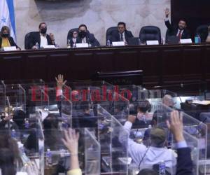 El PL y PSH trabajan en la elaboración de una nueva Ley del CNDS, el PN no descarta apoyar a una de la dos normativas o eliminar en su totalidad la figura constitucional.