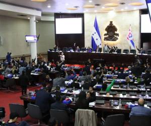 El proceso de adquisición de placas se hará mediante adquisición directa, aprobado por el Congreso.