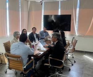 Proyectos de mitigación de desastres, control de laderas y eficiencia en servicios de agua potable serán las prioridades de cooperación con Japón en la capital.