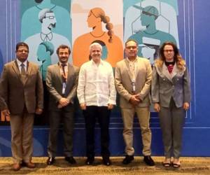 La estrategia contempla canales de denuncia, asistencia a víctimas y medidas para combatir la suplantación de identidad y el fraude en línea.