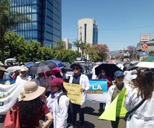 Santos agregó que, si bien en reuniones previas se logró la restitución de 38 plazas de médicos que habían sido despedidos, aún persisten múltiples problemas estructurales sin resolver.