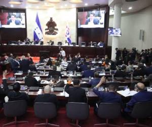 La propuesta busca crear una ruta nacional interinstitucional que elimine la burocracia y evite la revictimización de los menores en Honduras.