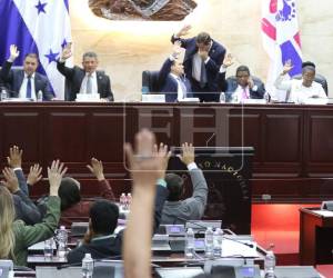 ​El ambiente dentro de la cámara apunta a que la Junta Directiva agende el proyecto para someterlo a su tercer y último debate este mismo día.