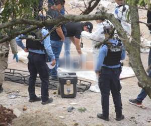 Entre la maleza y con múltiples heridas provocadas por arma de fuego fueron encontrados los cuerpos de dos hombres en la colonia 14 de Enero, en Comayagüela, un crimen que mantiene bajo investigación a las autoridades policiales y fiscales.