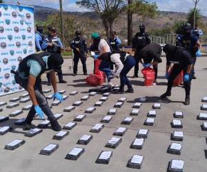 Las autoridades de Honduras decomisaron este miércoles unos 170 kilos de cocaína, con un valor estimado en 1,6 millones de dólares, durante una operación en el sur del país en la que fue detenido un hombre, informó la Policía Nacional.
