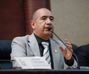 El proyecto fue presentado por el diputado del Partido Demócrata Cristiano (DC), Godofredo Fajardo.