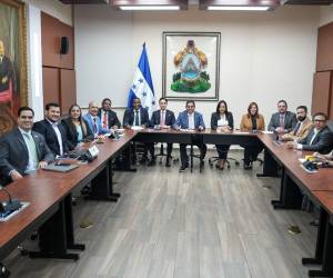 Los integrantes de la Comisión Especial de Selección serán los encargados de hacer los filtros para llevar los mejores candidatos al CNE y TJE al pleno del Congreso Nacional.