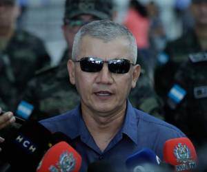 El jefe del Estado Mayor Conjunto, Roosevelt Hernández.