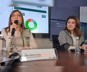 Captura de pantalla de un video que muestra una reciente comparecencia de las consejeras del CNE.