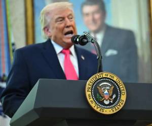 Trump afirmó que si alguna vez hay una guerra entre las dos mayores potencias mundiales, la OTAN no estará ahí.