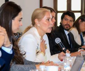 La primera dama Lissette del Cid de Asfura, sostuvo un encuentro con representantes de la Red de Cooperantes Nacionales de Honduras, para fortalecer el impacto social en áreas como educación.