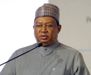 Barkindo fue nombrado delegado de su país ante la OPEP en 1986 y en 2016 se convirtió en secretario general de esta organización.