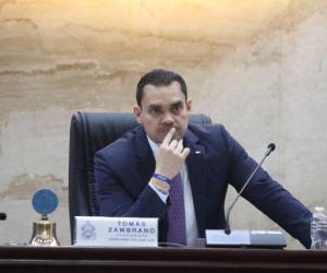 Los diputados regresaron este lunes 2 de febrero a las instalaciones del Congreso Nacional (CN) con una cargada agenda que incluye la aprobación de dictámenes y nombramientos.