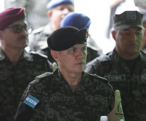 El exjefe de las FF AA es denunciado por no haber ordenado una verdadera investigación en el caso de una estudiante de la Academia Militar que sufría acoso por parte de un compañero.