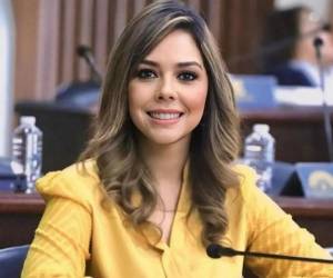 Mejía defendió este mecanismo constitucional y afirmó que exigir responsabilidades no es persecución, sino parte de la defensa de la democracia y la institucionalidad.