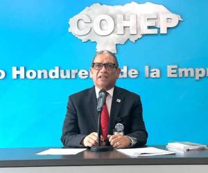 Las declaraciones se producen en medio de las protestas del gremio médico por sus demandas laborales.