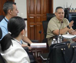 El viceministro de la Secretaría de Agricultura (SAG) se reunió con representantes del Banco Central de Honduras para coordinar y poder actualizar las estadísdicas relacionadas al sector agropecuario del país.