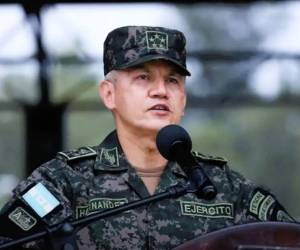 El jefe de las Fuerzas Armadas citó disposiciones constitucionales y aseguró que las Fuerzas Armadas respetarán y respaldarán los resultados que anuncie el CNE antes del 30 de diciembre.