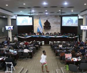 El Congreso Nacional emitirá un informe sobre la actividad legislativa en 2023.