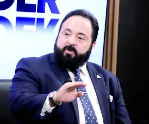 Redondo señaló que la implementación de este mecanismo no está sujeta a control jurisdiccional, y el decreto que lo apruebe no requiere sanción del Poder Ejecutivo.