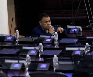 El diputado por el departamento de Cortés Carlos Alberto Umaña David, es quién presentó el proyecto de ley.